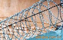 供应镀锌铁刺丝，热镀锌刺丝刺网防盗刺丝量大从优