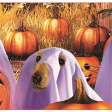 Iphone43D手机贴定制_3D手机贴设计印刷_3D立体手机贴