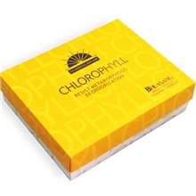 【厂家直销】供应礼品盒屋顶塑柄平顶纸柄礼盒