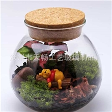 苔藓微景观玻璃瓶软陶玻璃瓶DIY玻璃瓶手工绿植玻璃瓶多款