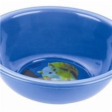 厂家直销塑料脸盆36-1/医院脸盆/回料脸盆/是2元店最畅销产品批发