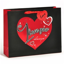 批发直销2013新款系列高档礼品袋红色桃心情侣包装礼品袋