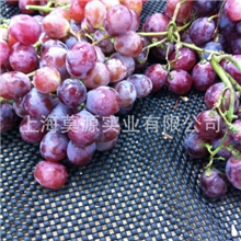 橡胶发泡防滑垫