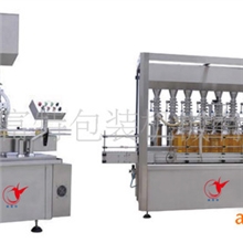 全自动灌装机厂家新型灌装机真空灌装机多功能灌装
