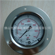 广顺供应TECSIS压力表40MPa表面：100/精密压力表/超高压力表
