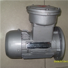 广州现货供应小齿轮减速机无级调速电机YB防爆电机