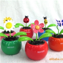 太阳能苹果花/太阳能公仔/苹果花太阳花