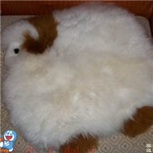 冬季坐垫沙发坐垫,暖洋洋家居，羊毛汽车坐垫，家居用品，椅垫