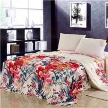 批发团购礼品2013年新款天然天丝蚕丝纯全棉空调毯夏凉被夏被