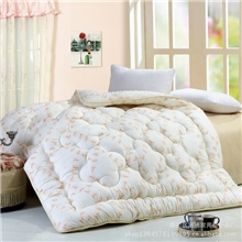 批发新品特价款英伦风加厚冬被被子棉被单人双人被芯团购发奖