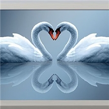 印花3D十字绣批发生产厂家彩印5D十字绣心心相印天鹅之恋