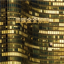 玻璃窗户贴膜贴纸隔热膜太阳膜单向透视私密隔热膜隔热纸金色