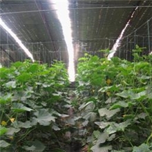 山东厂家生产生物肥新型【菌种】生物肥常年现货