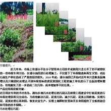 油气田废泥浆无害化处理剂国家专利产品厂家直销