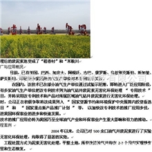 山东厂家专业生产环保固化剂固化剂【批发】常年现货