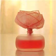 香熏无火香薰家居精油车载香水深圳厂家SECRETGARDEN50ML