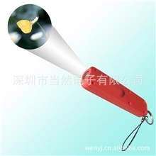 供应投影钥匙扣，投影小电筒，塑胶投影钥匙扣，投影铜钥匙扣