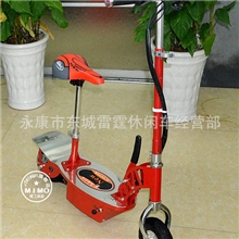 供应中大童220V电动滑板车