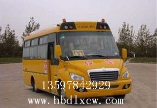 幼儿专用校车|幼儿园校车价格_东风校车多少钱