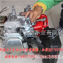 电动自行车专用增程器/直流发电机/油电动车增程器/油电增程器