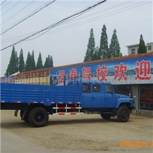 驾校用9米长头双排座教练车-厂价直销，低价优质