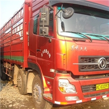 供应货车、二手货车热销、价格优惠、高安汽运供应