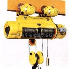供应钢丝绳电动葫芦