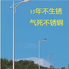 新款热销道路照明灯厂家直销道路照明灯15年不生锈道路照明灯