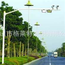 厂家热销监控摄像机立杆广州监控杆监控杆厂家