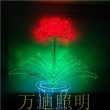 LED图案灯、君子兰造型灯、路灯杆造型灯