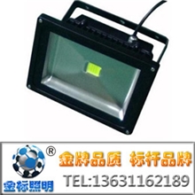 大功率LED投光灯泛光灯广告灯招牌灯30W
