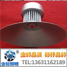 LED工矿灯30WLED车间灯厂房灯投光灯探照灯工厂批发