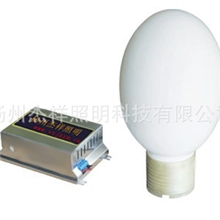 供应高频无极灯无极灯无极灯厂家专业生产无极灯整流器