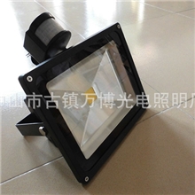 万博LED30W感应投光灯泛光灯广告牌灯LED户外投射灯投射灯