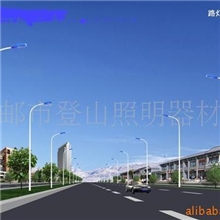 低价路灯按客户要求定制各种规格道路灯厂家生产批发销售