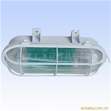 供应24W隧道灯CTG806