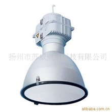 苏威牌无极灯工矿照明工厂照明央视CCTV-1推荐无极灯品牌