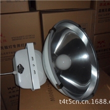 苏威牌无极灯投光灯泛光灯央视CCTV-1推荐无极灯品牌