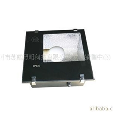 供苏威无极灯168投光灯泛光IP65广告灯灯具