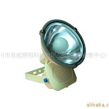 苏威无极灯户外照明广告灯照明灯小功率投光灯