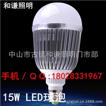 24wLED球泡灯LED节能灯室内照明LED灯具厂价直销LED球泡灯