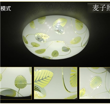 厂家批发透光苹果亚克力圆吸顶灯酒店过道灯LED吸顶灯房间面包灯