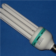 外贸出口4U节能灯3W5W节能灯节能灯厂家批发最便宜节能灯