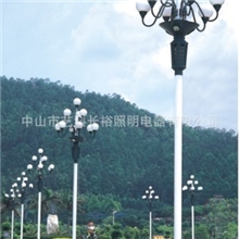 供应户外灯具、LED中华灯、中华灯、道路灯、户外灯厂家
