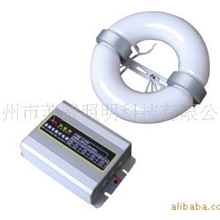 供应18－300W高、低频无极灯无极灯光源无极灯灯具