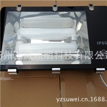 供应苏威牌无极灯150w165w电磁感应灯道路照明隧道灯