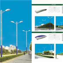 【商家直销】供应10米路灯杆欢迎来电咨询