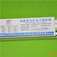 供应批发伟泰牌中高档H管55W电子镇流器