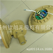 SBF防爆灯低频无极灯镇流器40、60、80W、100W电源整流器