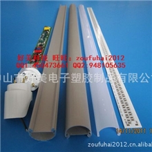 【厂家直销】中山古镇椭圆形1.2米LED日光灯配件12并24串12并20串